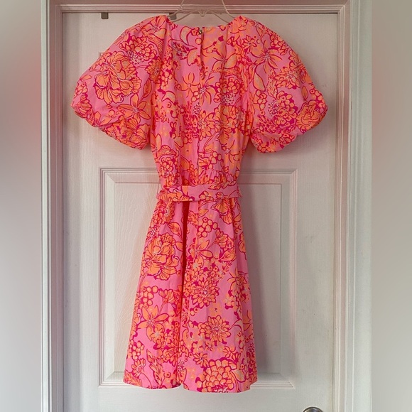 Lilly Pulitzer Knoxlie Dress - Picture 4 of 4
